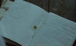 A flower pressed into the pages of a workbook. The subtitle reads 'Good work.'